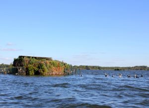 Découverte de l’étang blanc en barque dans l’univers des pêcheurs et chasseurs