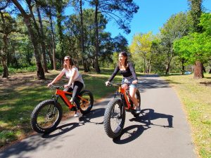 Balade guidée en fat bike électrique