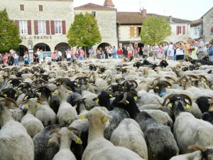 La Route de la Transhumance