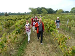 La Route de la Transhumance