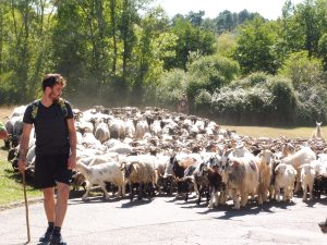 La Route de la Transhumance