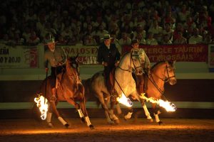 Spectacle Landes Emotions