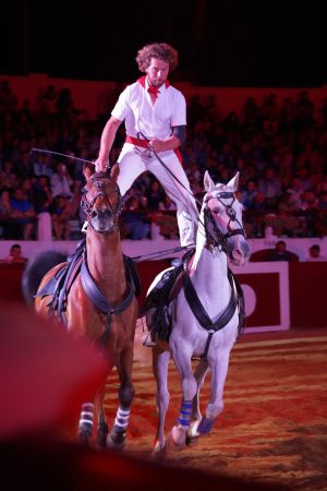 Spectacle Landes Emotions