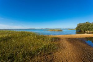 Course découverte de l’environnement à Biscarrosse