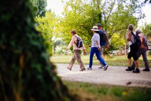 Marche découverte de l’environnement à Biscarrosse