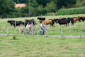 Visite de la ganaderia Maynus