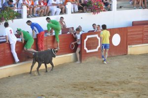 Course Landaise et jeux d’arènes