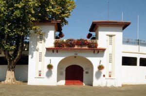 Course Landaise et jeux d’arènes