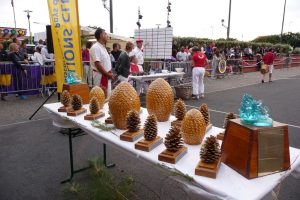 Championnat du monde de lancer de pignes