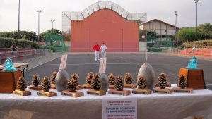 Championnat du monde de lancer de pignes