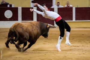 Feria Sen Bertomiu