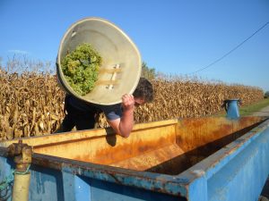 « Chai ouvert ! » au Domaine de Jouatmaou