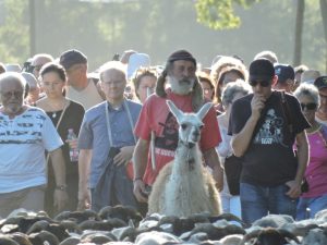 La Route de la Transhumance