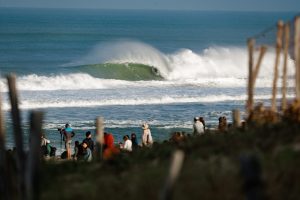 QUIKSILVER FESTIVAL