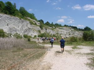 Chantier participatif à la Réserve Naturelle Régionale Géologique de Tercis