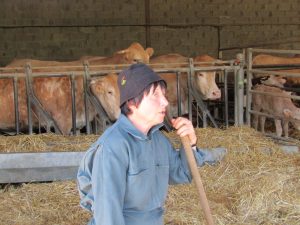 Visite de la ferme Parlariou : canard et boeuf