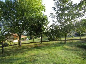 Location – Bost Marie-Reine et Roland