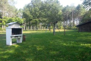 Maison landaise dans environnement calme