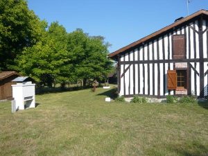 Maison landaise dans environnement calme