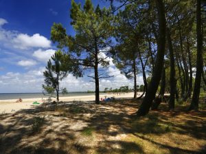 Maison proche du lac avec parking privatif