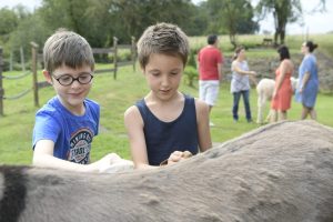 Visite sur rdv de l’asinerie Turs’Ane