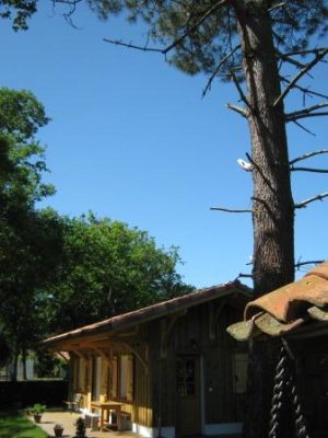 La Cabane du Résinier