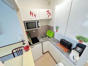 51768234  – Appartement – 1 pièces à DAX