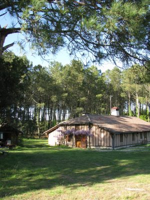 Gîte du pin franc