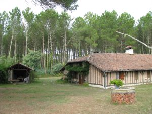 Gîte du pin franc