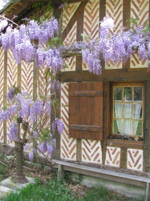 La maison landaise de Mâa