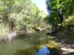 Balade nature – Quand la nature se réveille