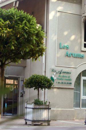 Les Arums