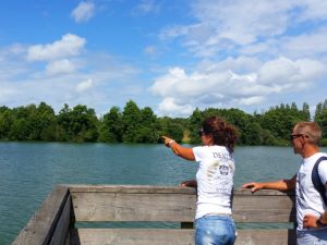 Visite guidée : banal ! Le moineau ?