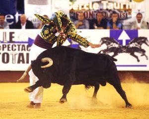 Spectacle Landes Emotions