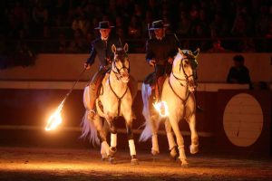 Spectacle Landes Emotions