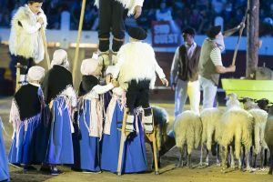 Spectacle Landes Emotions