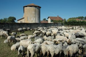 La Route de la Transhumance