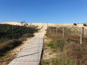 Appartement « Résidence de La Plage » – Adour Côte Sud Immobilier