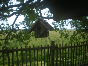 Cabane perchée du lérot