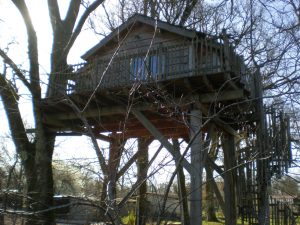 Cabane perchée du lérot