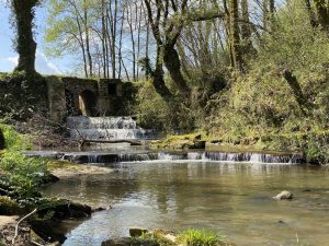 Moulin de Lorta 2