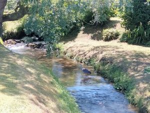 Le Moulin du Gabas