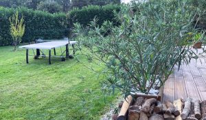 « Lac & Nature » Gîte (4 pers.) Piscine – Solarium – Bien-être