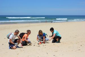 Eco marche à la plage