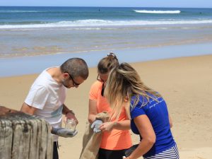 Eco marche à la plage