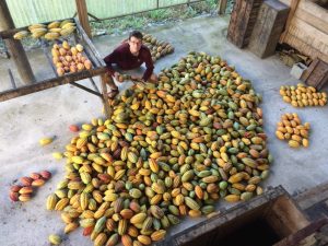 Rencontre avec un chocolatier