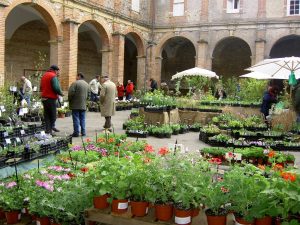 32ème édition Varietas Florum, vente de plantes