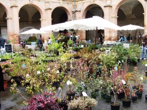 32ème édition Varietas Florum, vente de plantes