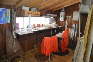 Visite guidée d’une cabane ostréicole