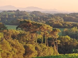 Entre Adour et Montagne